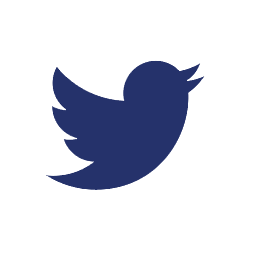 Twitter logo Rygor Navy